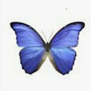 Meet your Posher, Keshra